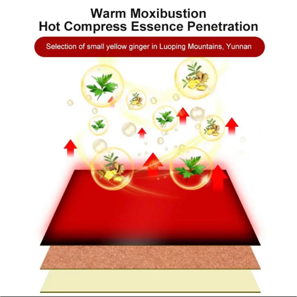 FreeShipping (BUY 1 TAKE 2 )=300pcs Herbal Ginger Patch Paste-On Warming Multipurpose Heat Patches